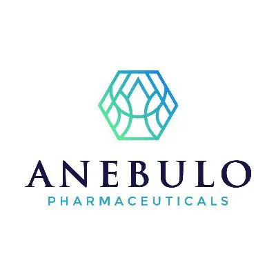 ANEB